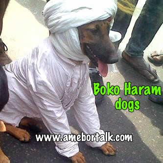 Boko Haram Dogs