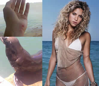 Shakira and Sea Lion