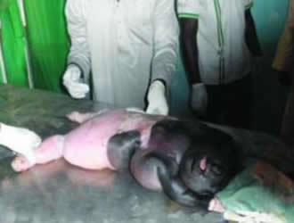 Sheep Gives Birth To Human
